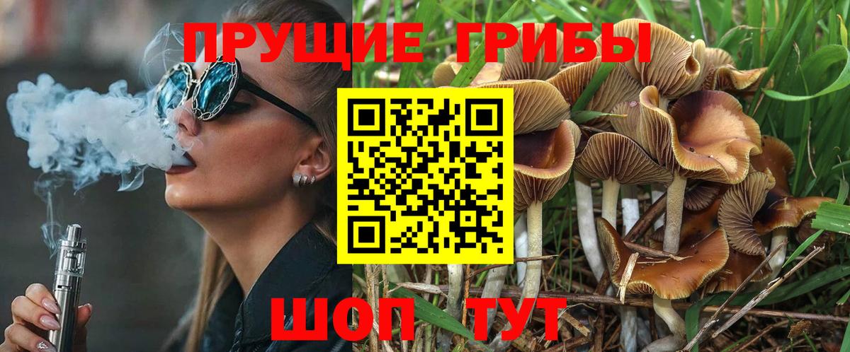 Галлюциногенные грибы Magic Shrooms  Галлюциногенные грибы прущие грибы  Вход с VPN  Северобайкальск 